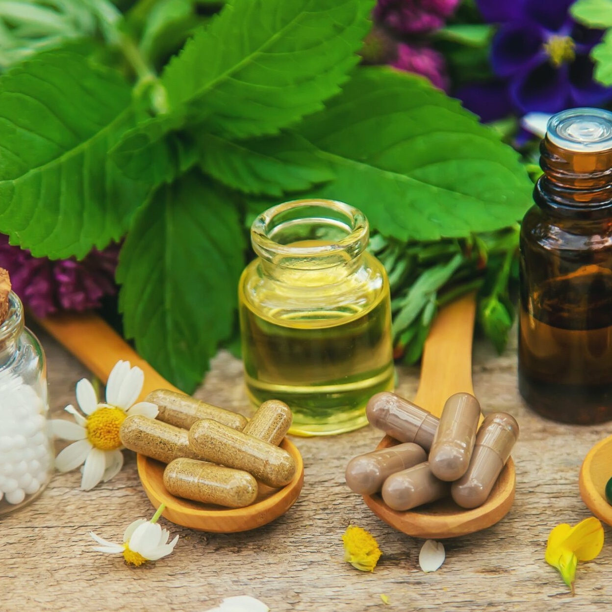 I Homéopathie : La matière médicale