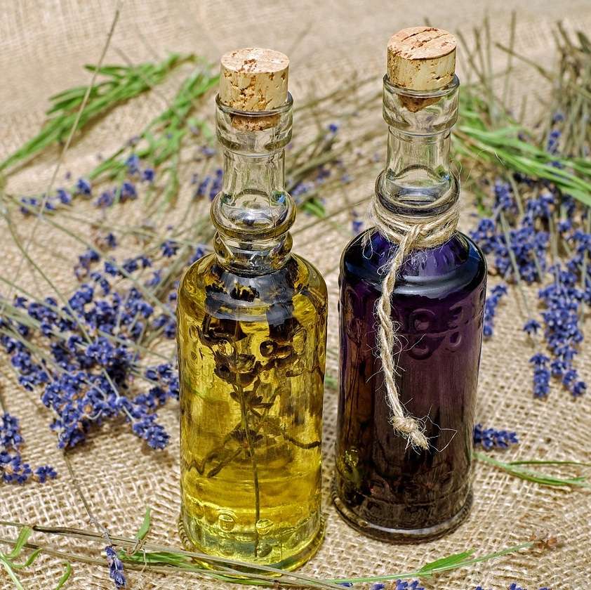 II Homéopathie : Les pathologies (1/2)