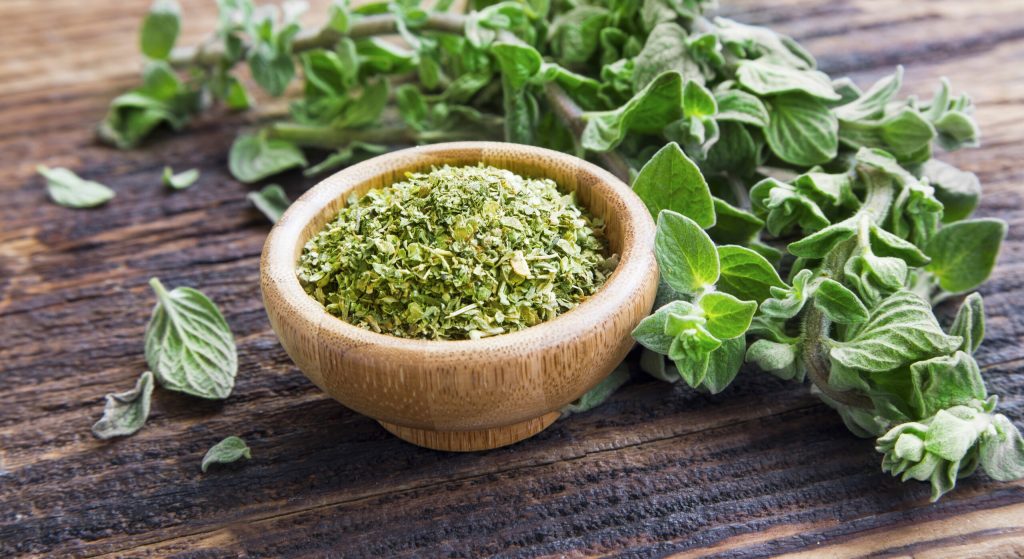 La médecine Intégrative : phytothérapie, nutrithérapie