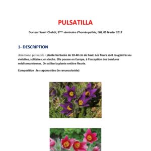 Pulsatilla