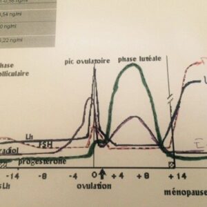 Gynécologie 1 : syndrome prémenstruel (support complémentaire)