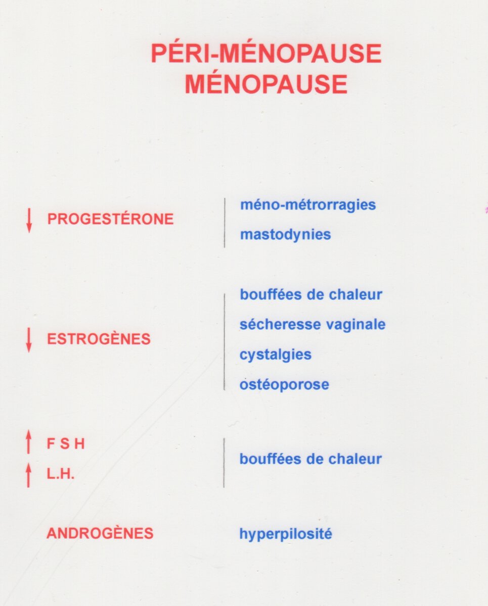 Gynécologie 2 : périménopause et ménopause (support complémentaire) 1 Gynécologie 2 : périménopause et ménopause (support complémentaire)