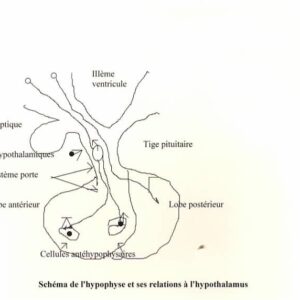 Iode et troubles thyroïdiens, phytothérapie — J.-D. Beaujaut
